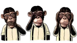 Test de personalidad: elige uno de los monos y podrás ver cómo funciona tu mente