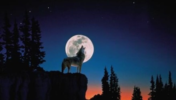 Luna de Lobo: Cuándo es y cómo ver la luna llena de enero del 2024. (Foto: Difusión)