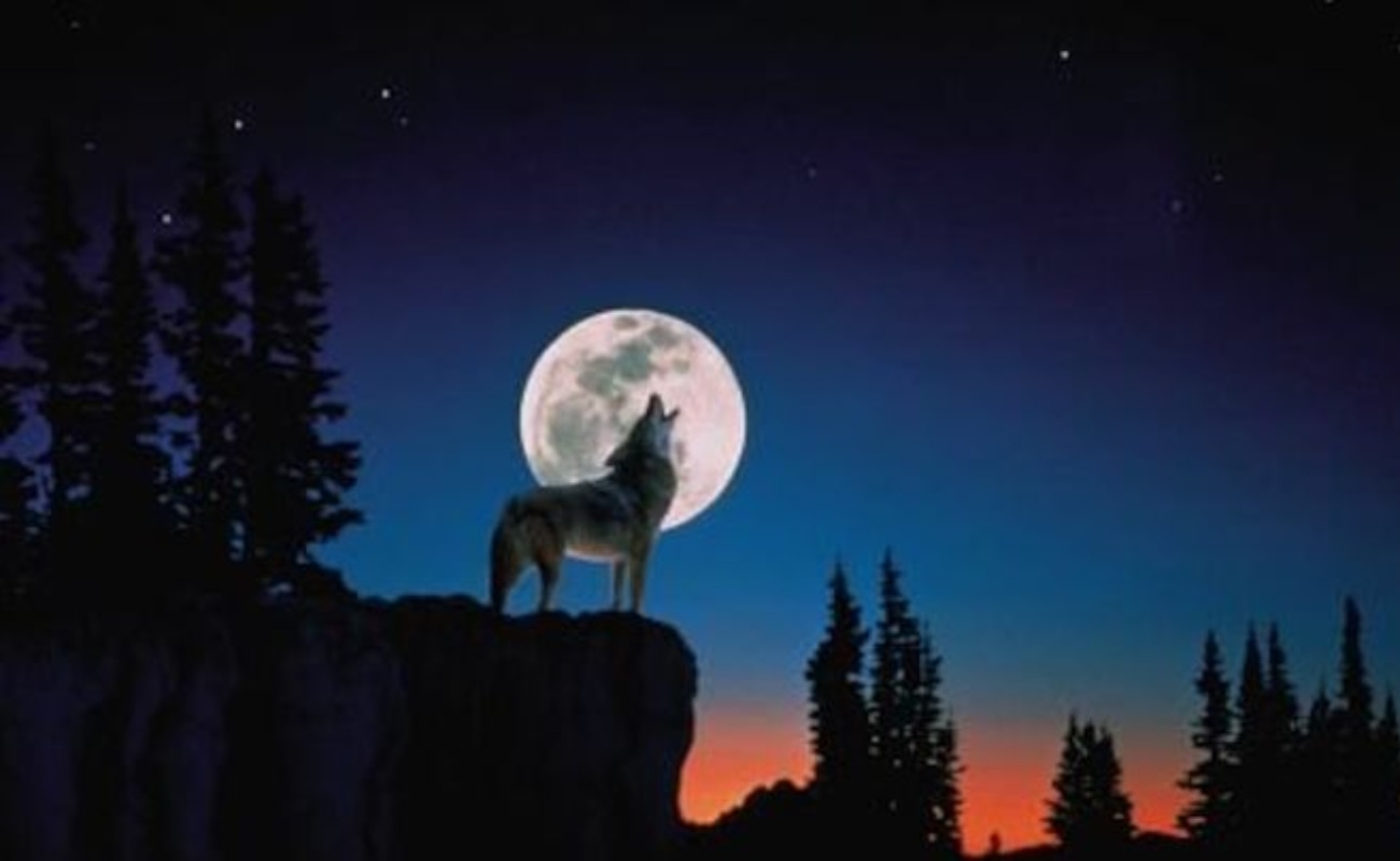 Luna de Lobo: Cuándo es y cómo ver la luna llena de enero del 2024. (Foto: Difusión)