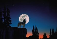 ¿A qué hora se pudo observar la Luna Llena del Lobo este jueves 25 de enero?