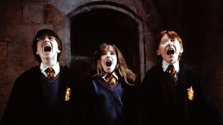 Harry Potter: ¿Qué fue del elenco 20 años después de la primera película de la saga?