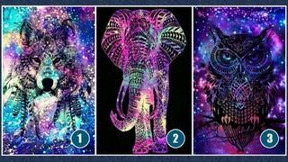 Elige un tótem espiritual y revela lo que te depara la vida