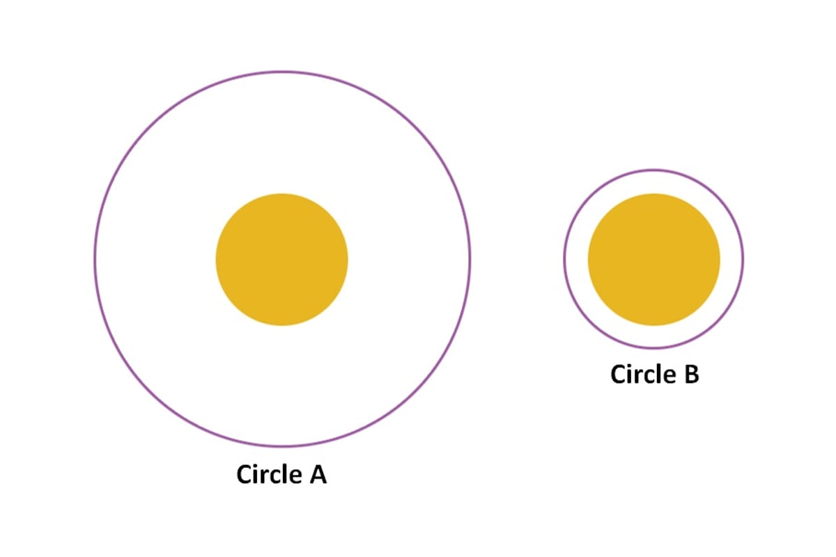 DESAFÍO VISUAL | Observe los dos conjuntos de círculos en la imagen. ¿Cuál del círculo amarillo parece más grande?