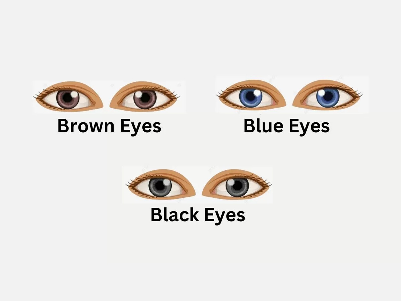 TEST VISUAL | ¿Cuál es tu color de ojos? ¿Tienes ojos de color marrón, azul o negro? Lea este artículo para conocer sus rasgos de personalidad dominantes. | jagranjosh