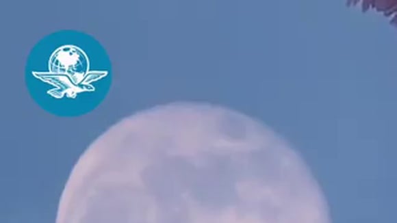 Este 25 de enero se podrá observar la Luna de Lobo. (Video: El Universal Hidalgo)