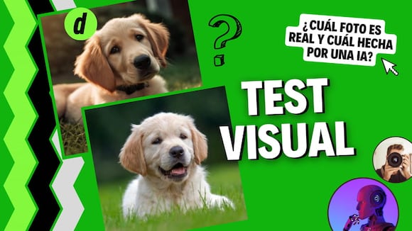 Test visual: ¿eres capaz de distinguir imágenes reales de las creadas por inteligencia artificial?