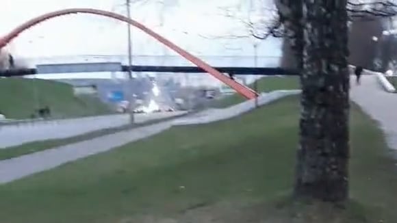 Perrita se enfrentó a ave salvaje durante salida al parque. (Video fuente: TikTok/@maryia_seslikova)