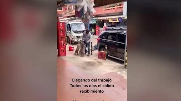 Viral: perritos alegres le dan la bienvenida a trabajador