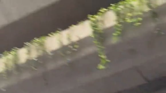 Fuertes lluvias en Acapulco por la llegada del Huracán Hilary | VIDEO: Twitter