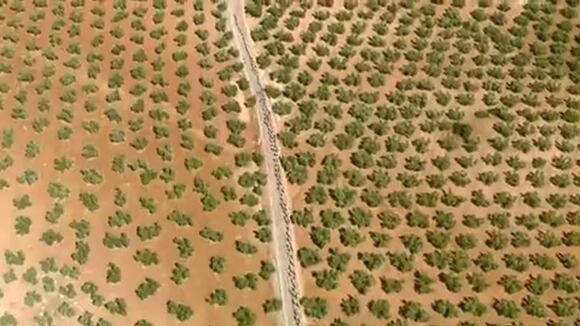 La Vuelta a España 2023 inicia este sábado 26 de agosto | VIDEO: @lavuelta