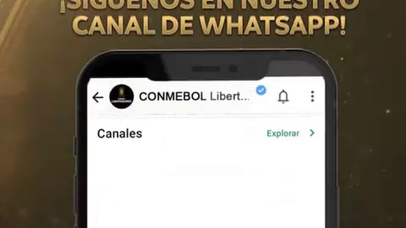 Copa Libertadores EN VIVO