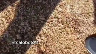 Tubería y cemento en el campo: Melgar explica el porqué no jugó hoy en el Torneo de Reservas