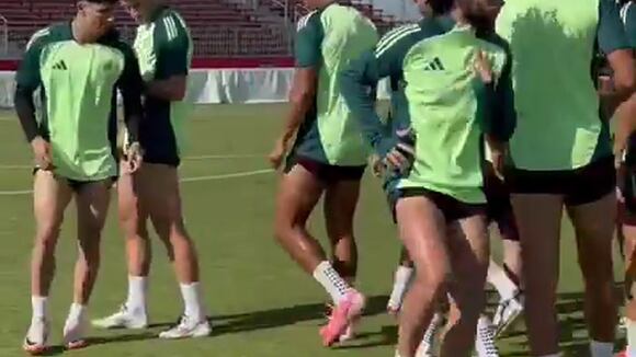 México vs. Ecuador: se enfrentan por la fecha 3 de la Copa América. (Selección Nacional)