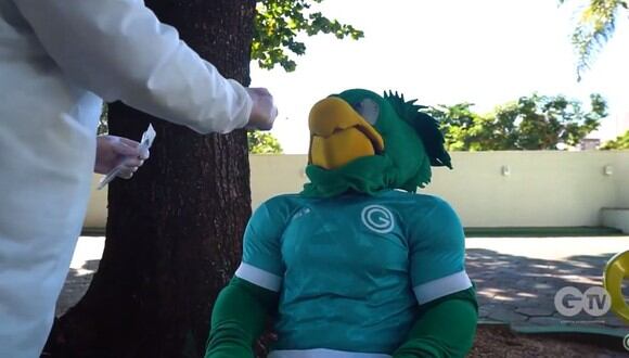 Goias realizó prueba de hisopado a su plantel. (Foto: Goias TV)