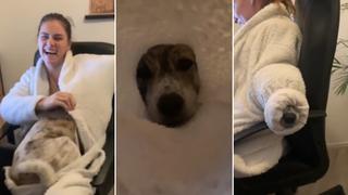 El adorable momento en que un perro con frío se refugia en la bata de su dueña