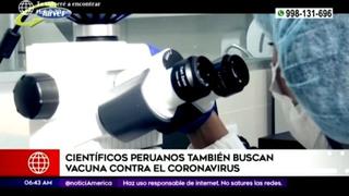 Coronavirus en Perú: especialistas vienen trabajando en la vacuna contra COVID-19