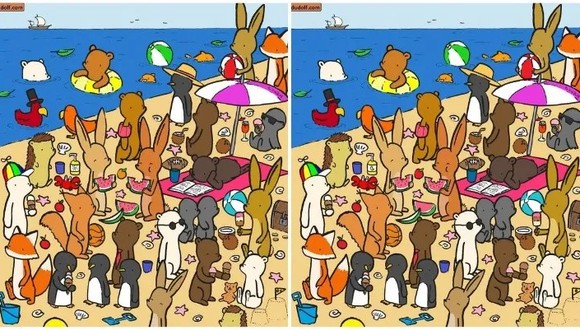 El reto viral nos muestra a un conjunto de animales en la playa realizando diversas actividades. Se presentan dos imágenes y el desafío es hallar las 7 diferencias.