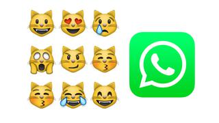 WhatsApp: razón por la que existen 9 emojis de gatos y cuál es su significado