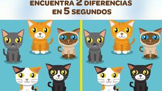 Test visual: Encuentra las 2 diferencias entre las imágenes de gatos en 5 segundos