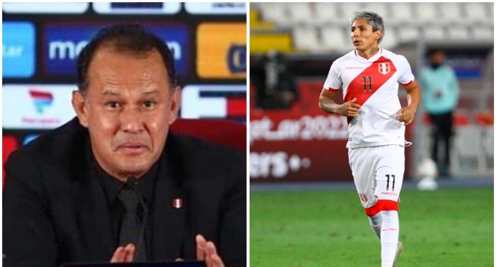Peru exam |  Juan Reynoso: “Raul Ruidas’ type is undeniable” |  Sports |  Soccer-Peruvian