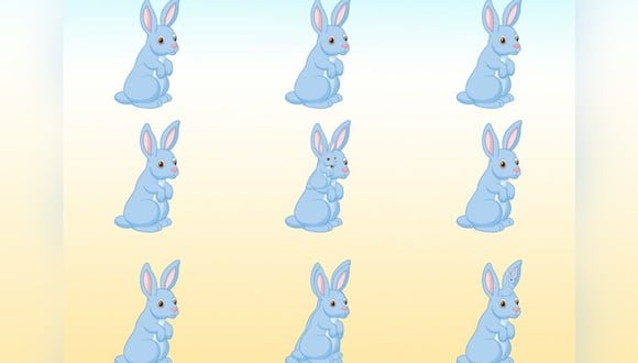 En este acertijo mental, trata de identificar cuántos conejos hay en la imagen. (Foto: Brightside.me)