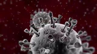Coronavirus: así evolucionan los síntomas del covid-19 día a día