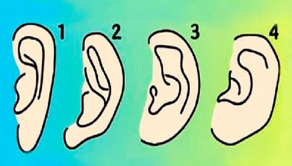 Debes elegir solo una opción, exactamente la que más se parezca a la forma de tus orejas y conocerás los resultados del test visual. | Foto: namastest