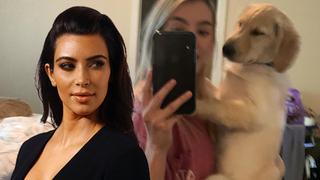 ¡Kim Kardashian ya tiene competencia! La foto viral de un perro con un “derrier de infarto”