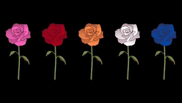 Test de personalidad: una rosa te mostrará tu lado oculto. (Foto: TiempoX)