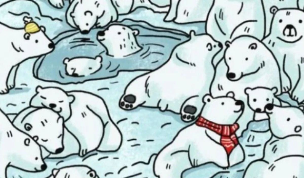 Desafío visual: ¿Puedes hallar a la foca oculta entre todos los osos polares? (Foto: Facebook/Captura)