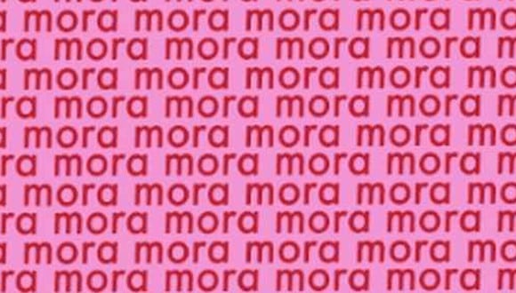 En esta imagen está la palabra ‘MONA’. Tienes que ubicarla. (Foto: MDZ Online)