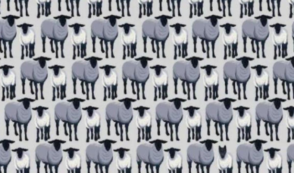 ¿Puedes hallar a los 6 lobos disfrazados de ovejas en la imagen? (Foto: Facebook)