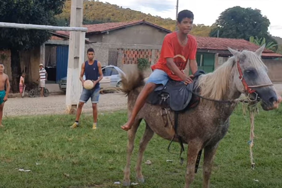 El caballo se divirtió bastante en compañía de sus amos y una pelota. (YouTube: ViralHog)