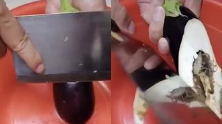 ¿REAL o FAKE? Todo sobre el video viral de los escorpiones emergiendo del interior de una berenjena