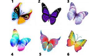 Elige la mariposa que más capte tu atención y te revelará aspectos inéditos de tu personalidad