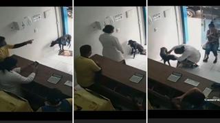 Viral: Perrito acude solo a veterinaria para ser atendido