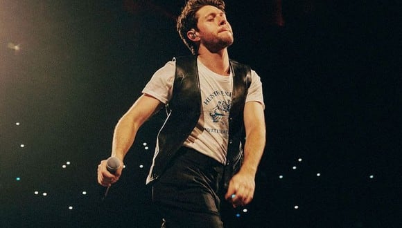 Niall Horan anunció su llegada a Latinoamérica como parte de su gira internacional “The Show Live On Tour”. (Foto: Instagram)