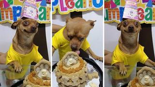 Perro alborota a todos en las redes con las peculiares fotos de su cumpleaños