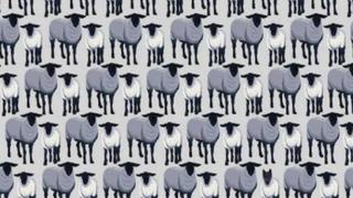 Redescubre tu rebaño y encuentra los 6 lobos camuflados de ovejas de esta imagen viral [FOTO]