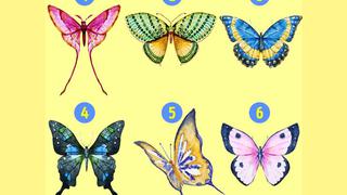 La mariposa que elijas en este test te revelará detalles inéditos sobre tu forma de ser