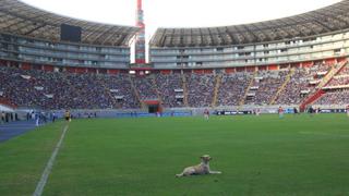 ¿Y la FPF? Tres vergonzosos casos que demuestran que el fútbol peruano no progresa