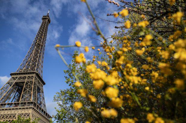 La torre Eiffel, símbolo de la romántica París (Foto: AFP)
