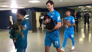 Jugadores de Zenit salieron al campo cargando perritos sin hogar [VIDEO]