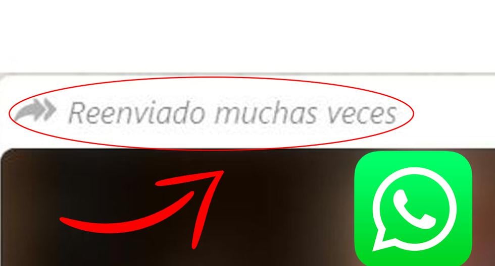 Whatsapp Qué Es Reenviado Muchas Veces Y Cuándo Aparece Aplicaciones Smartphone Truco 4679
