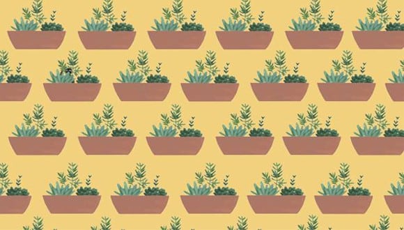 ¿Estás listo? Resuelve este reto viral en tiempo ilimitado, pero demuestra tu capacidad de percepción hallando al gato escondido entre el cúmulo de plantas ubicadas en la imagen.