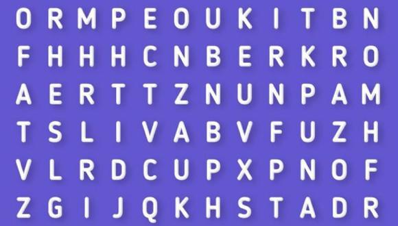 Reto viral de cracks: ¿puedes ubicar la palabra oculta en la sopa de letras que el 99% falló? (Foto: Genial.Guru)
