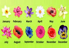 La flor que corresponde al mes de tu cumpleaños expondrá tu forma de ser