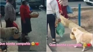 “Qué bonita compañía”: perrito se hace viral por ayudar a su dueña a vender comida en la calle [VIDEO]