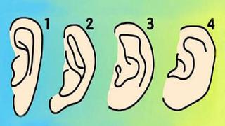 La forma de tus orejas te revelará aspectos únicos de tu personalidad