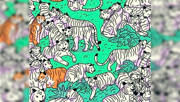 Pon a prueba tu capacidad visual en este reto y trata de encontrar a la cebra entre los tigres. (Foto: genial.guru)